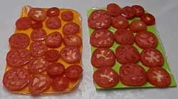 Как заморозить свежие помидоры на зиму