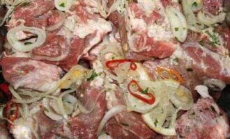 Как замариновать мясо для шашлыка