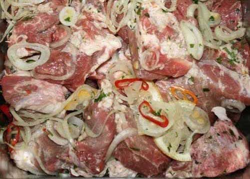 Как замариновать мясо для шашлыка